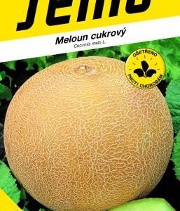 Melón cukrový - SOLARTUR