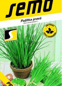Pažítka pravá - PRAGA