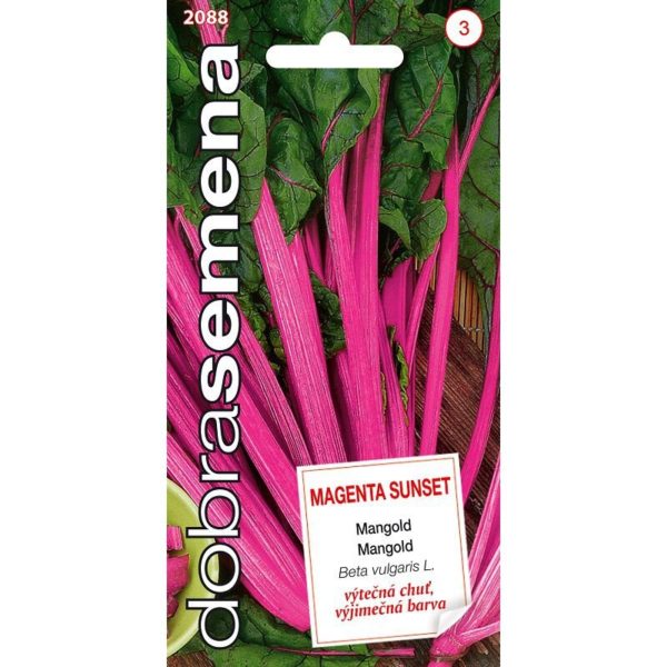 Mangold - MAGENTA SUNSET