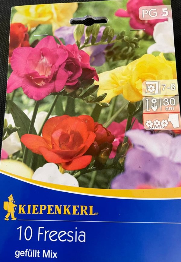 Freesia gefullt Mix