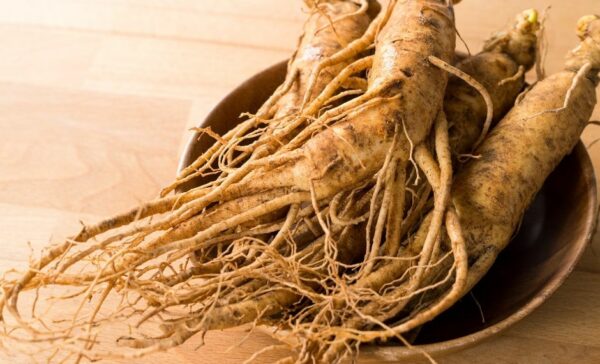 Panax ginseng (Ženšen - Všehoj ázijský) - Image 2