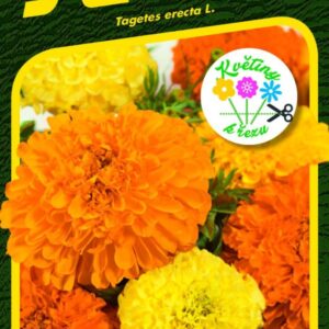 Aksamietnica vzpriamená ´IMPERIALE ZMES´ (Tagetes erecta).