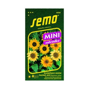 Slnečnica ročná ´PACINO MIX MINI´.