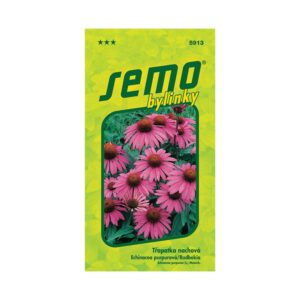 Echinacea ´PURPUROVÁ´.
